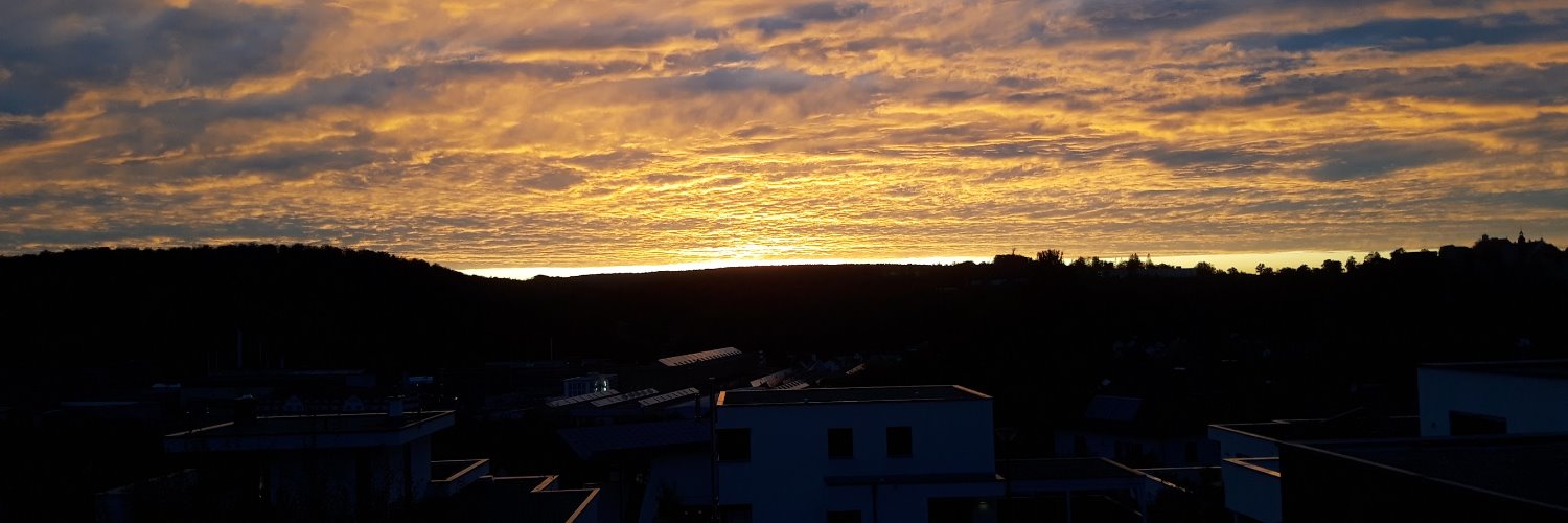 Michael Beruldsen banner