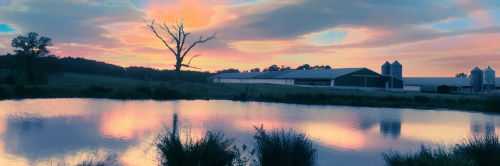B_Baldwin8's profile banner image