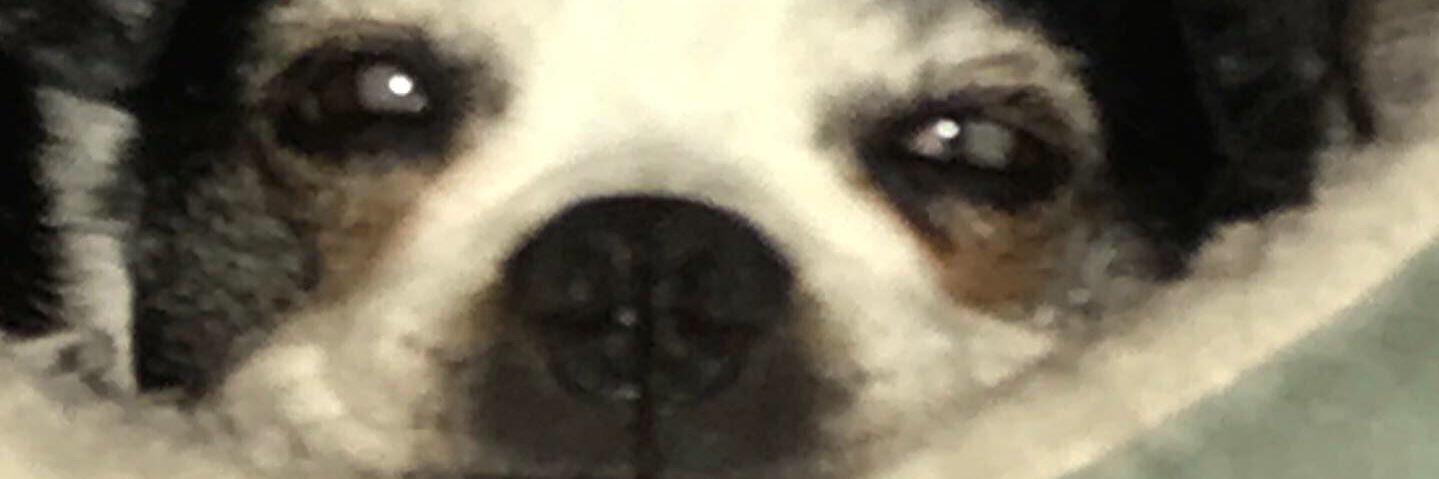 Gavin_Forb's profile banner image