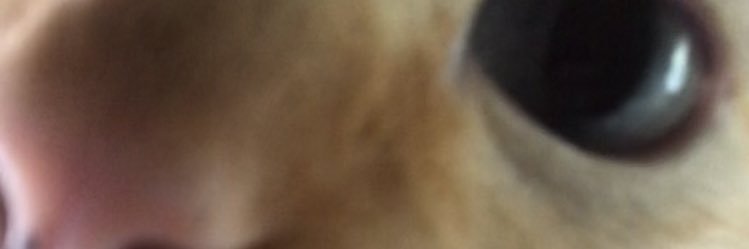 ni_kappa's profile banner image