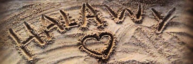 Hallawy's profile banner image