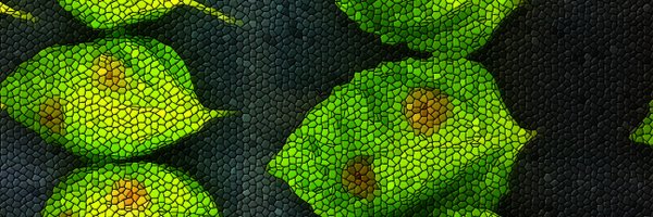 C_Caseys Profile Banner