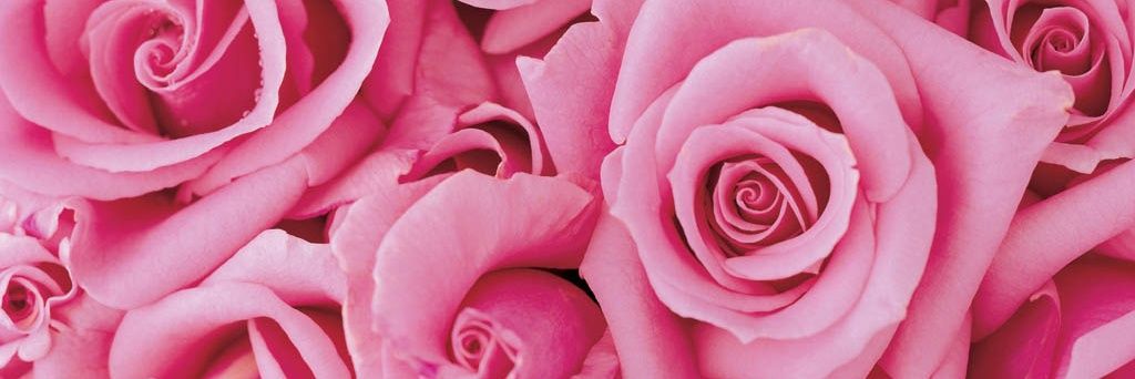 vera_skye's profile banner image