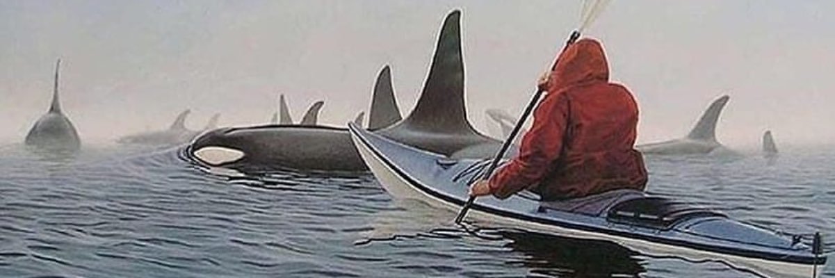 humanlighthouse's profile banner image