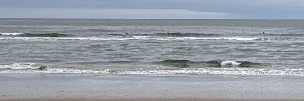 sixxelaaa Profile Banner