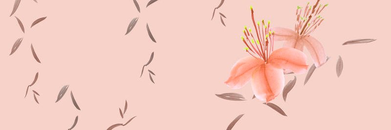 vidiniaar's profile banner image