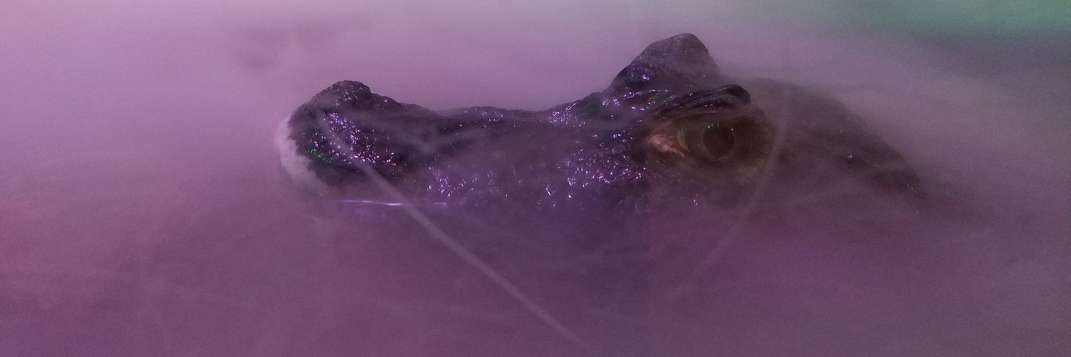 cdsehrstein's profile banner image