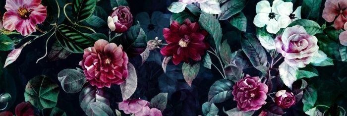 Miss_Izabela's profile banner image