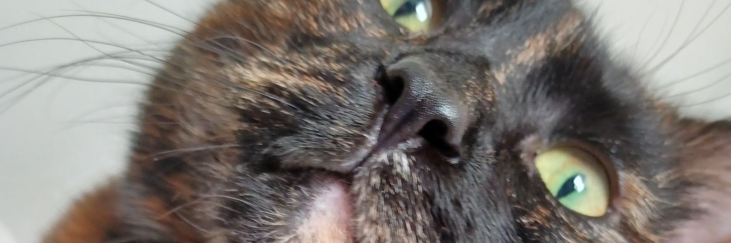 Mar 🇵🇷🇪🇨 banner