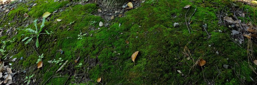 Stone911225's profile banner image