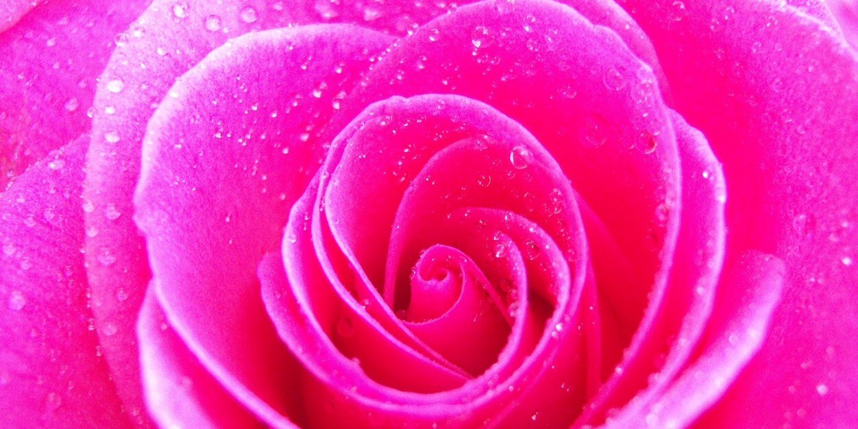 christinecall10's profile banner image