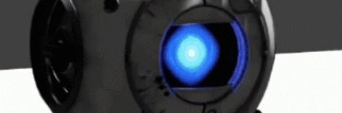 Miss Carly *survivor* banner