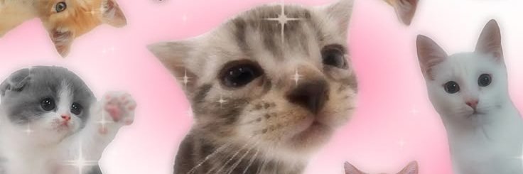 EXTRAP1CKL3S's profile banner image
