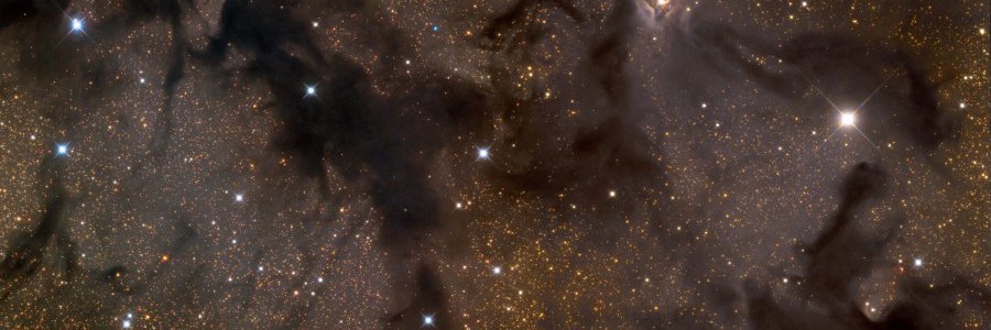 Myancles's profile banner image