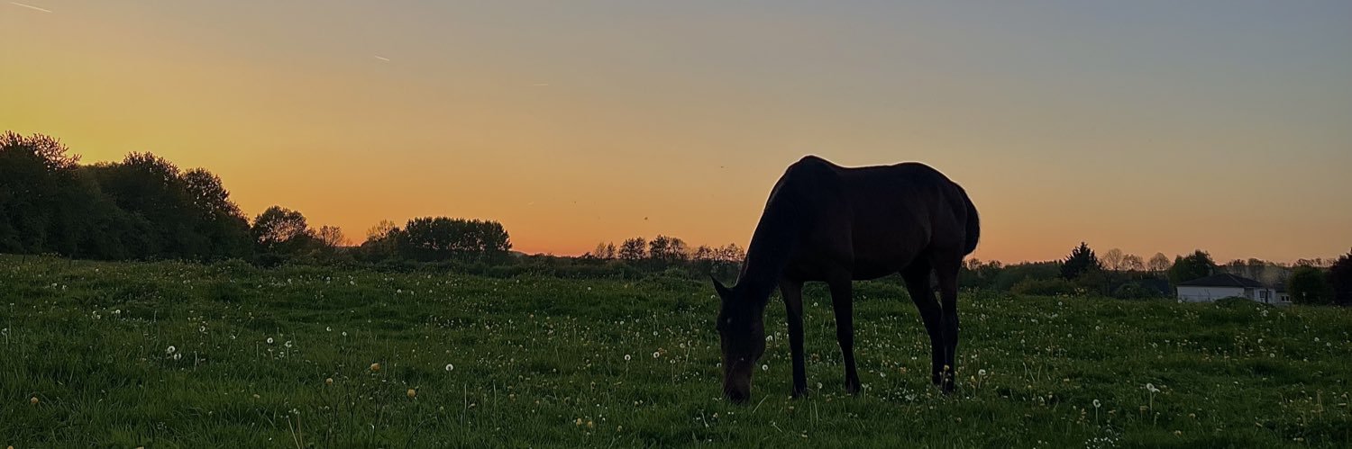 _Leiast_'s profile banner image