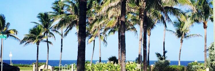 tovestrandh's profile banner image