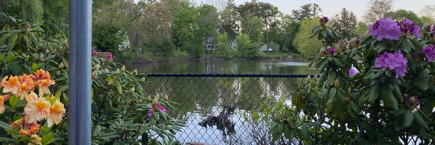 Dianella Howarth banner