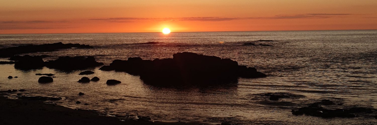 Peas and Gravy banner