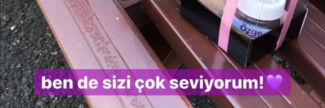 Sinem banner