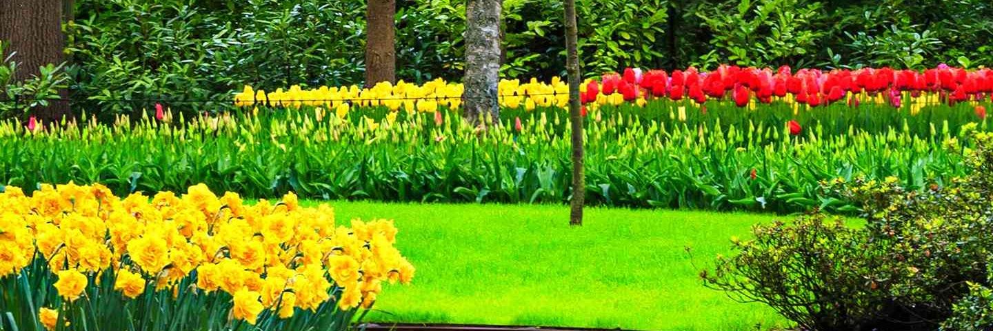 farukel50488202's profile banner image