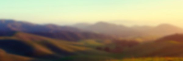 zohf Profile Banner