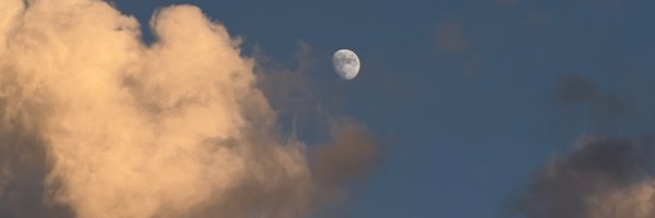 WANNATESTlFY Profile Banner