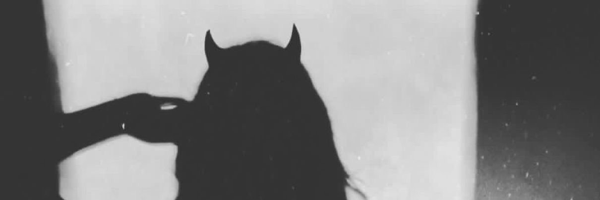 wittchxd's profile banner image