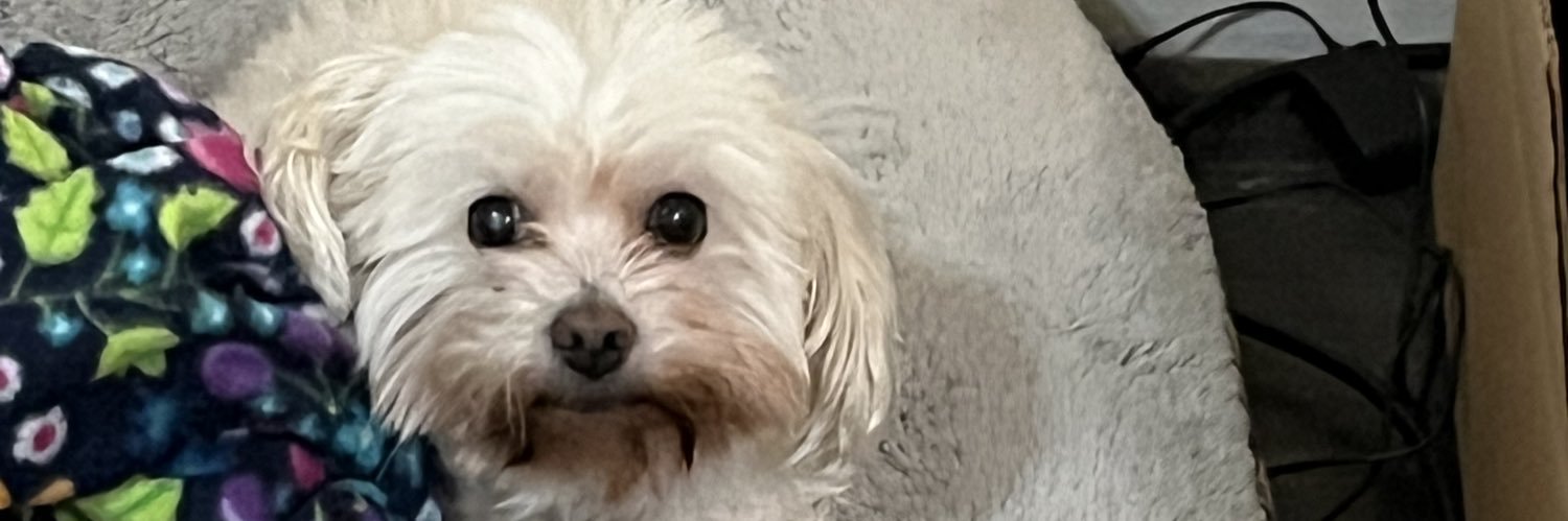 TriciaEEL's profile banner image