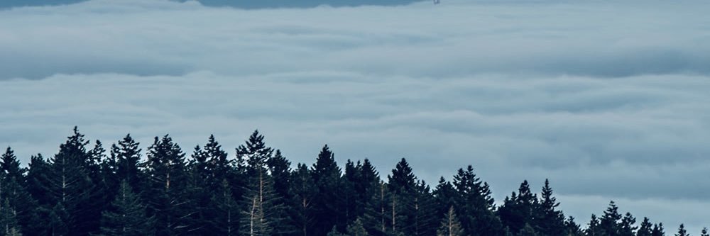 BenSempowski's profile banner image