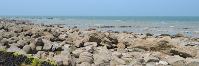 Jolien Bartels banner