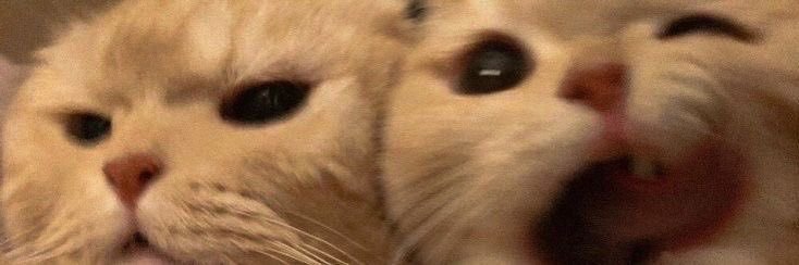 eliffsaricaa's profile banner image