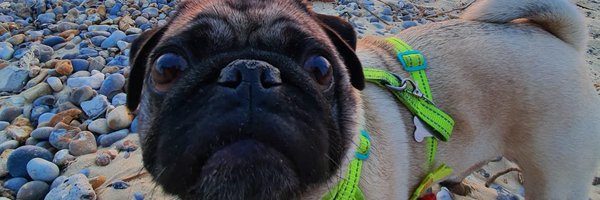 Oh_Alby Profile Banner