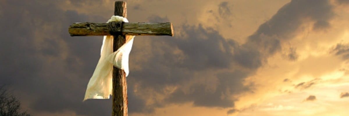 StevenC03687024's profile banner image