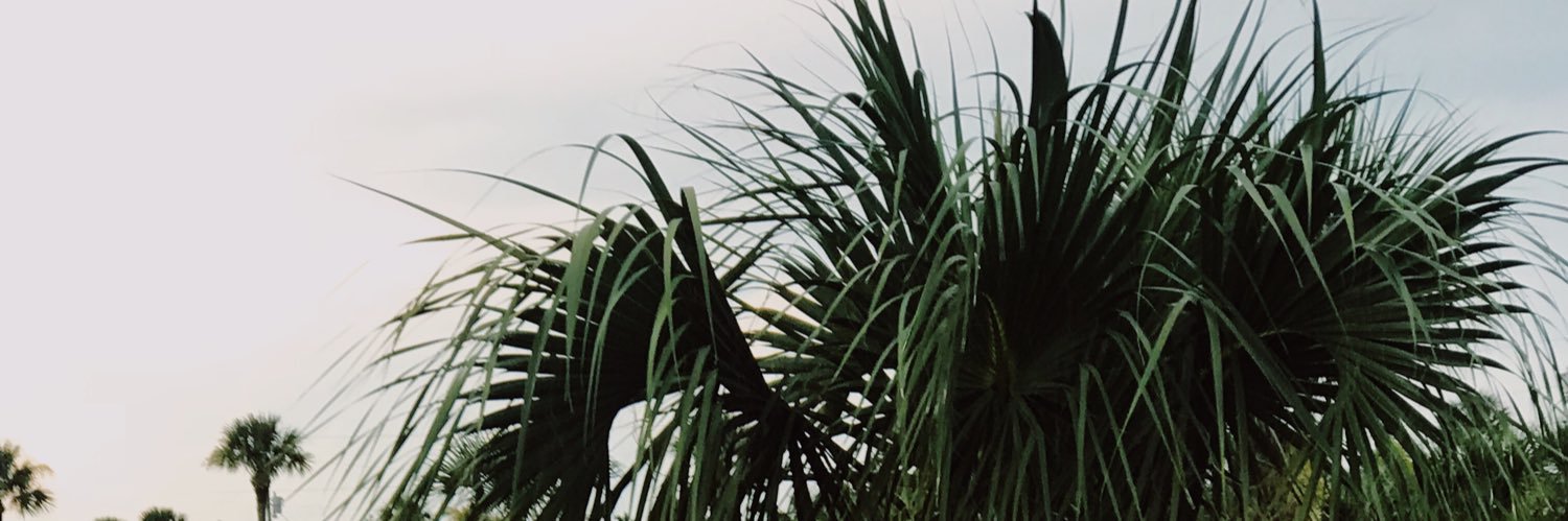 Kiley_NSmith's profile banner image