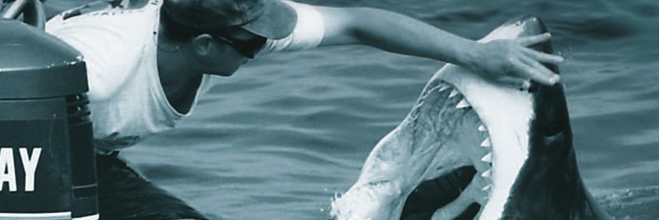 false_bay's profile banner image