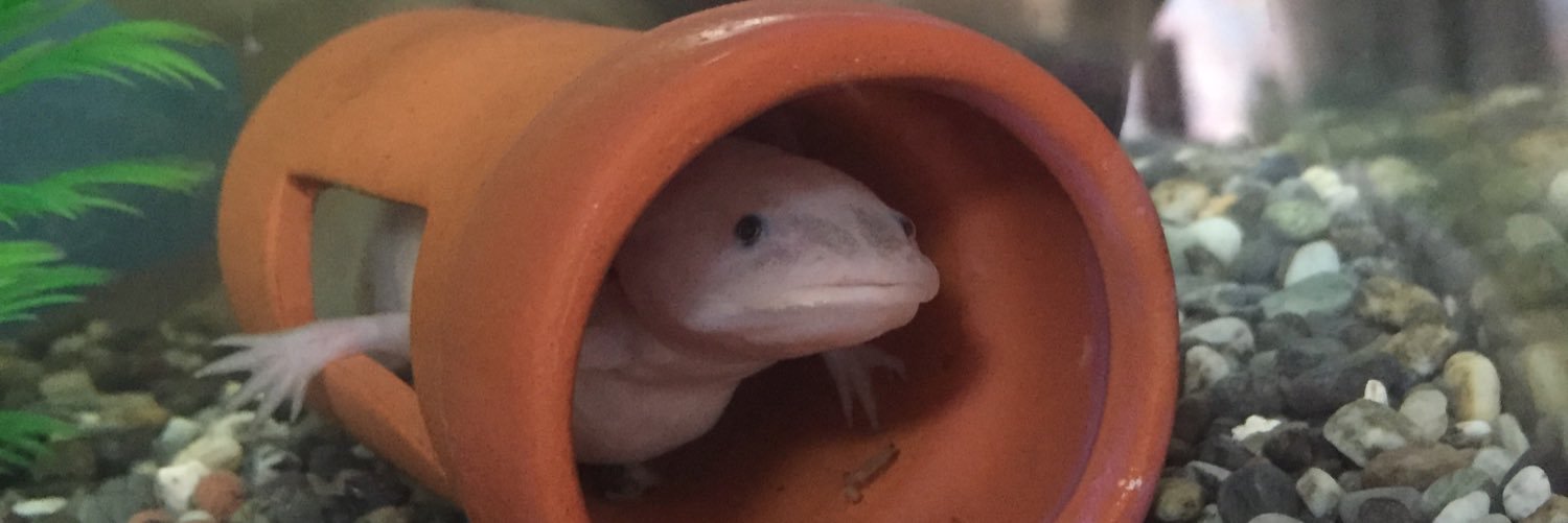 TOMs__house's profile banner image