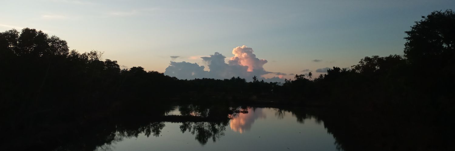 bingaaaaa_'s profile banner image