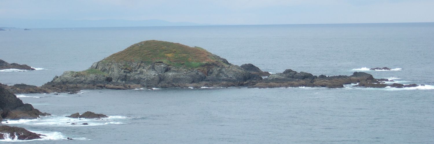 Belén Martin banner