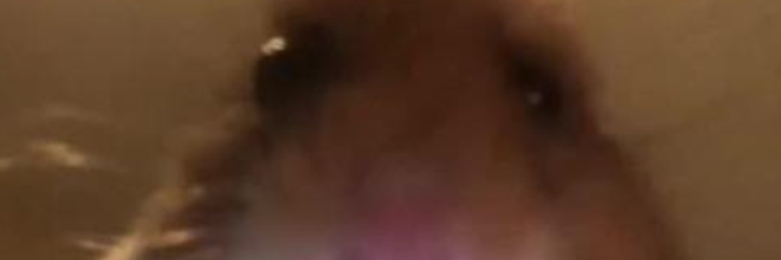 Fillmorecool7's profile banner image
