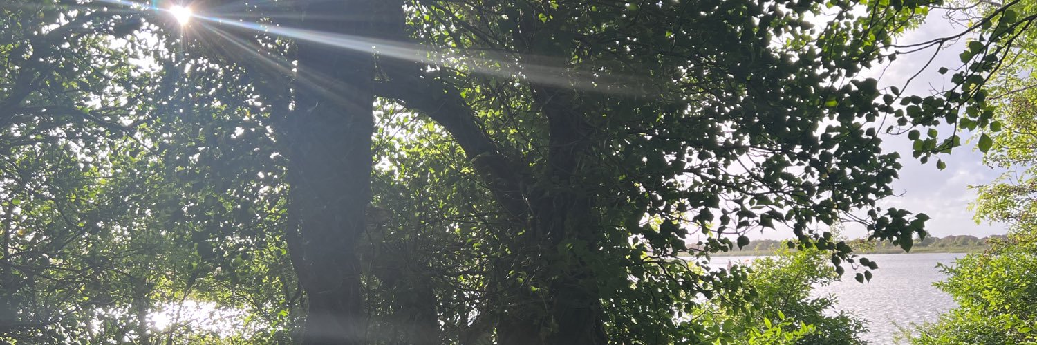 Constantina Papatriantafyllopoulou banner