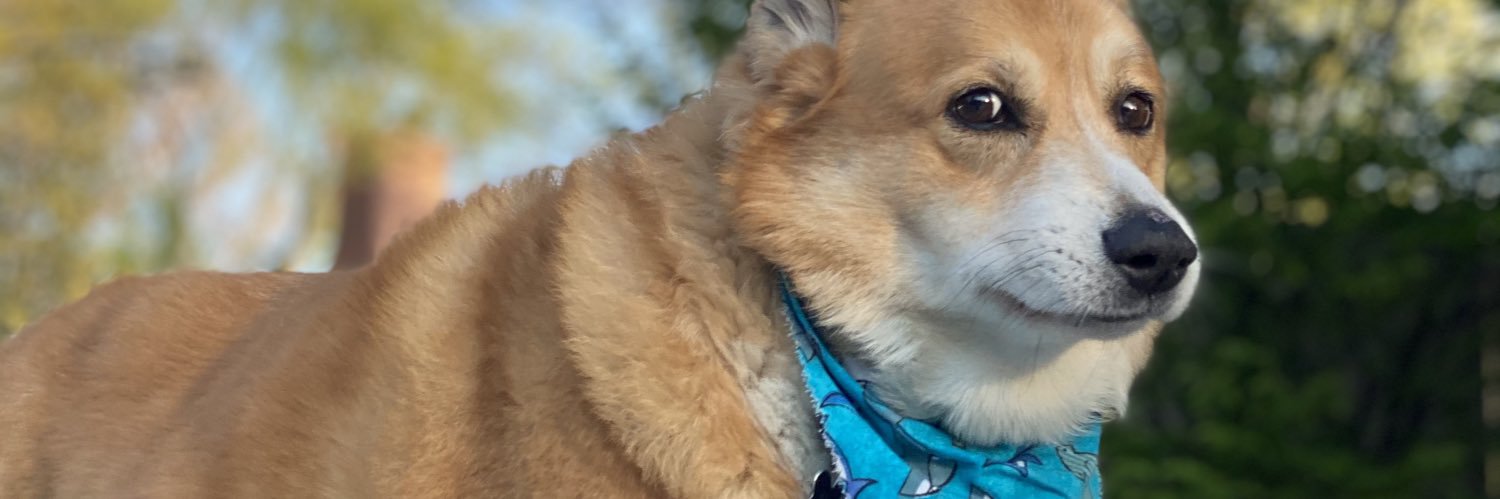 MchelleKS's profile banner image