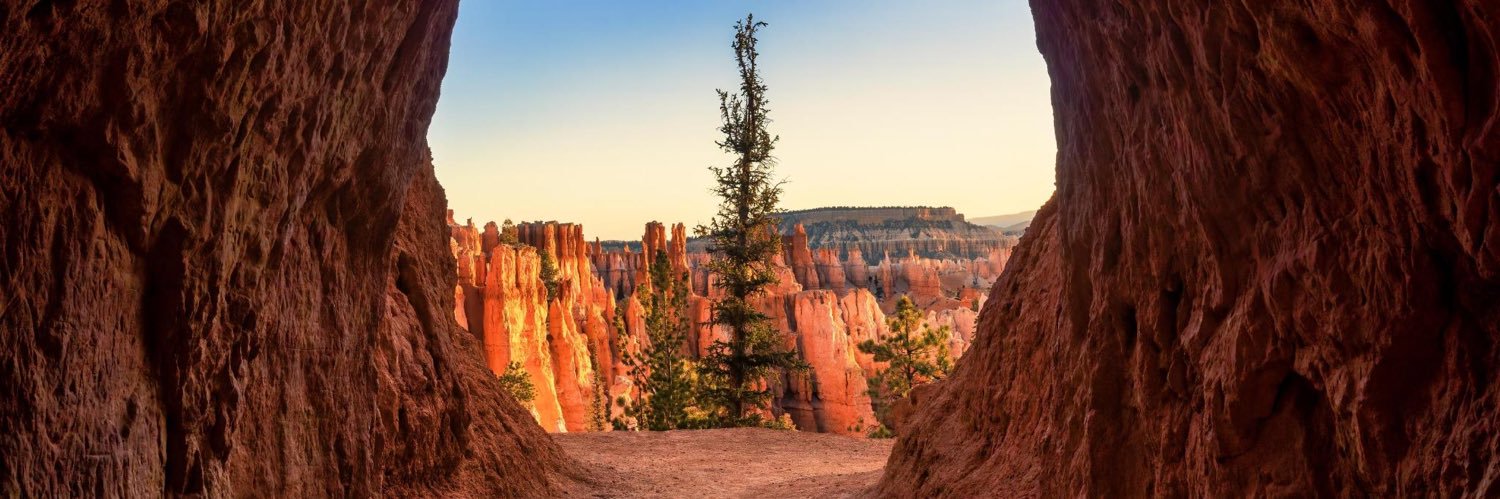 The Consistent Man banner