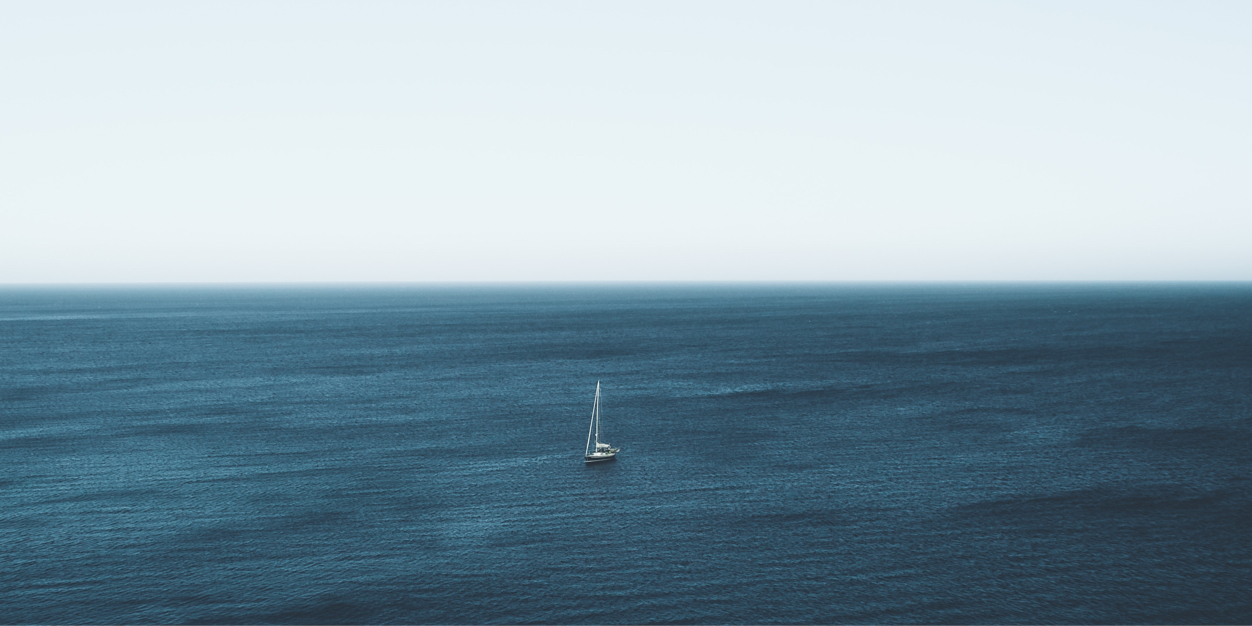 𝓭 banner