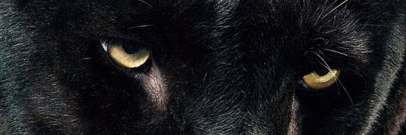 Keevz_77's profile banner image