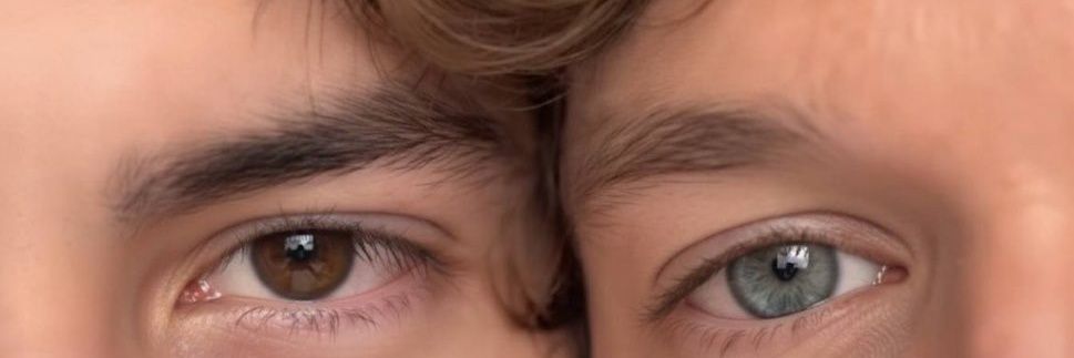 Sofibouchoux's profile banner image