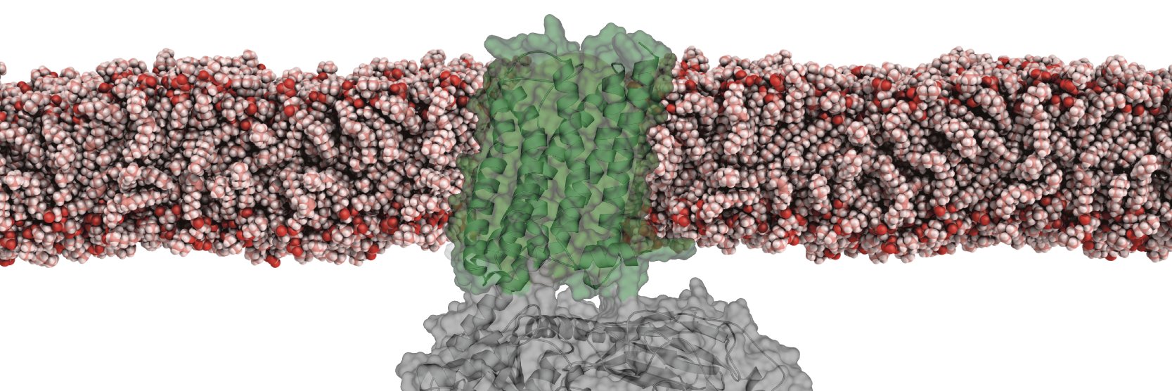GPCR_ECC's profile banner image