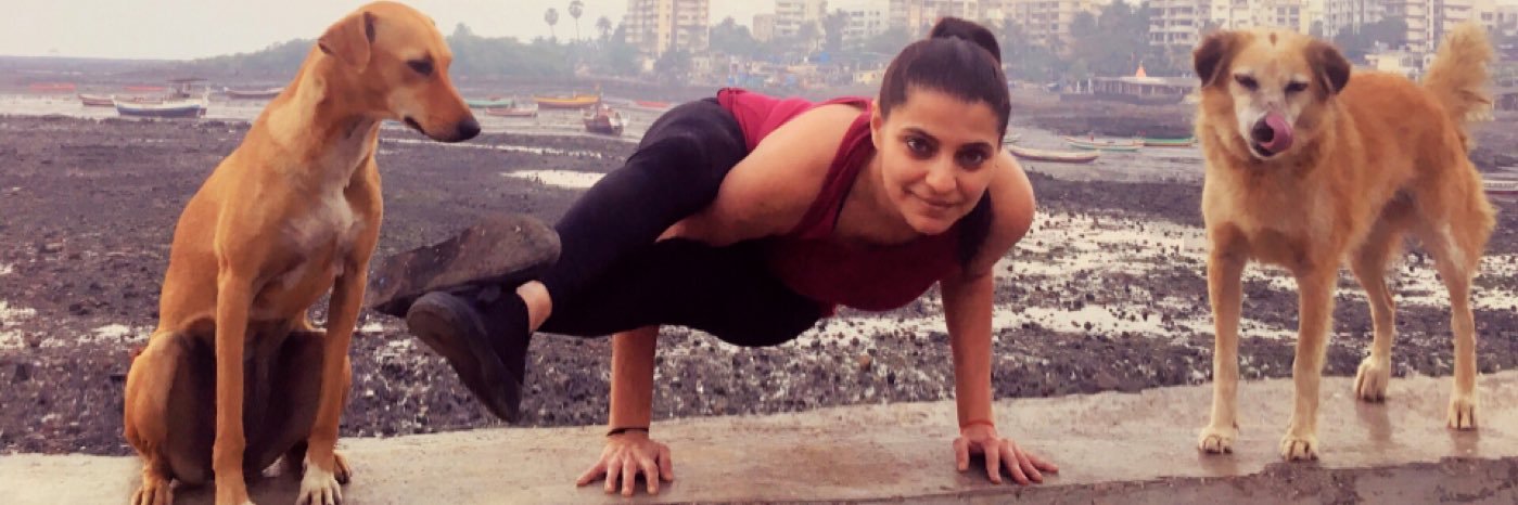 Vandanayoga's profile banner image