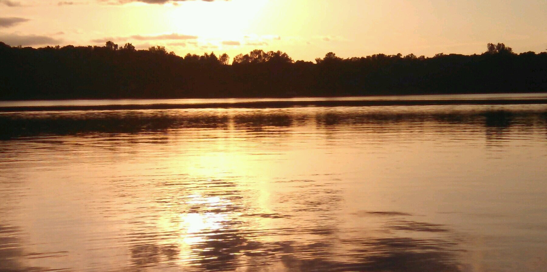 ChloeeLarson's profile banner image