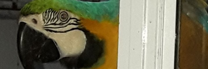 TARDEO's profile banner image