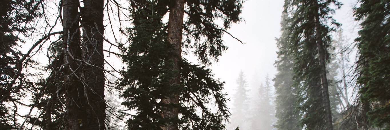 emxstone's profile banner image